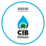 CIB - Logo Soci 18